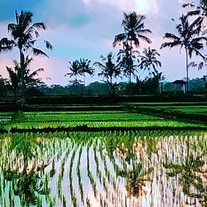 Meet your Posher, Vienn